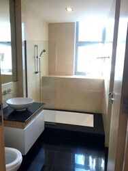 Cairnhill Crest (D9), Condominium #553754851